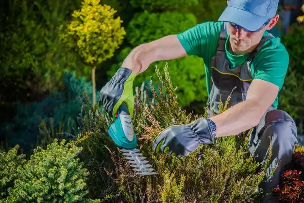 landscaping services Sarcoxie